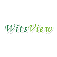 WitsView